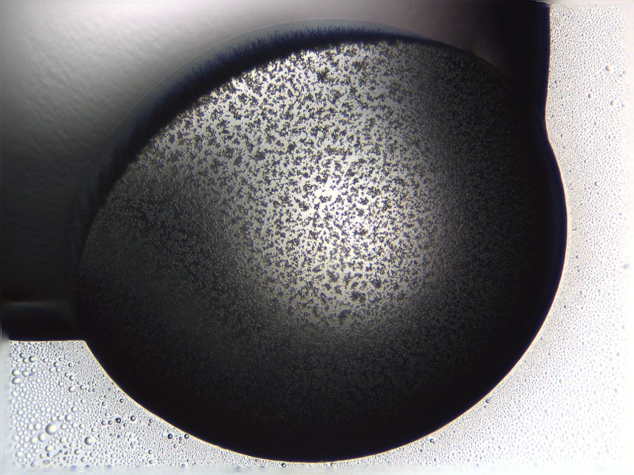 062k_E4_ImagerDefaults_3.jpg