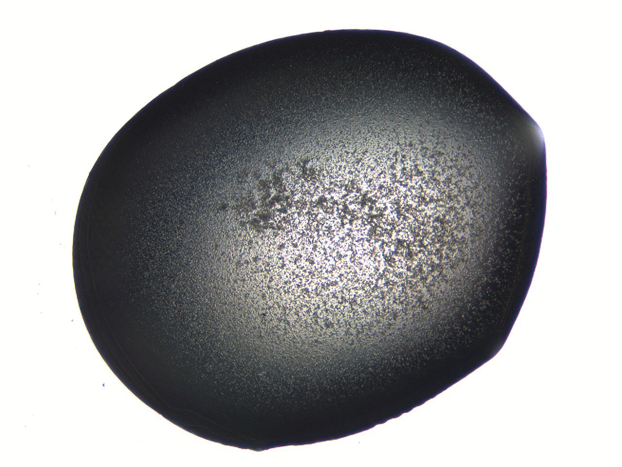 062k_E7_ImagerDefaults_3.jpg