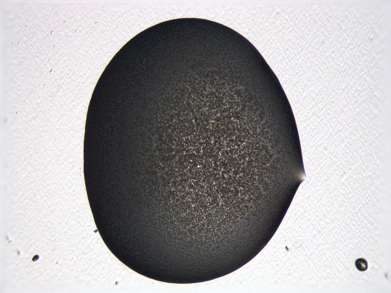 062k_E10_ImagerDefaults_3.jpg