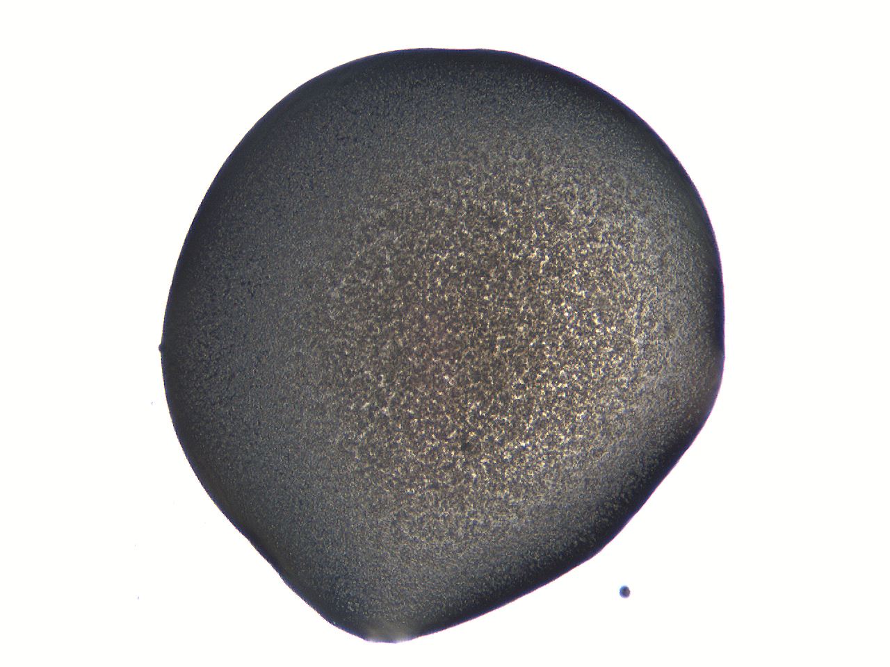 062k_E11_ImagerDefaults_3.jpg