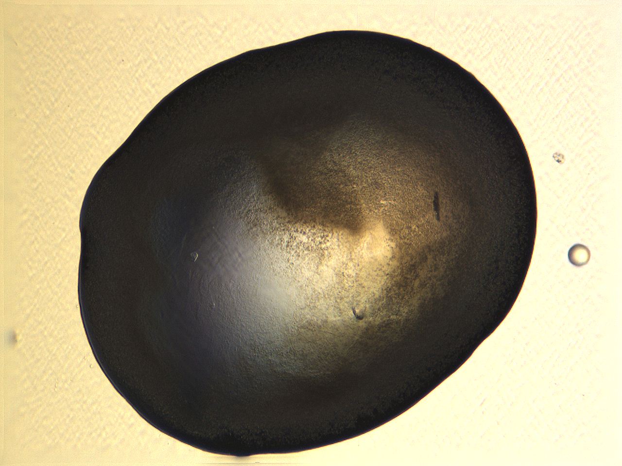 062k_E12_ImagerDefaults_3.jpg