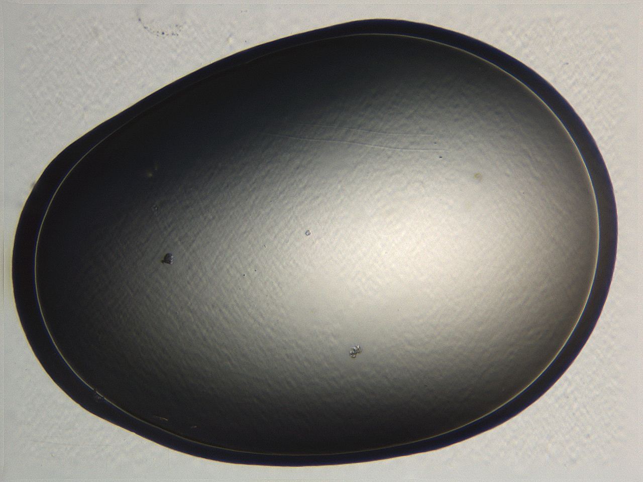 062k_F4_ImagerDefaults_0.jpg