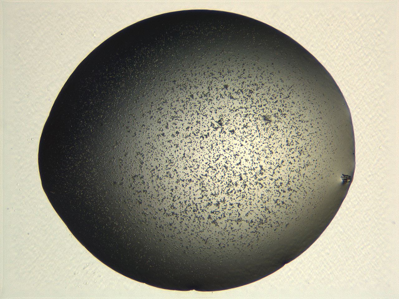 062k_F6_ImagerDefaults_3.jpg
