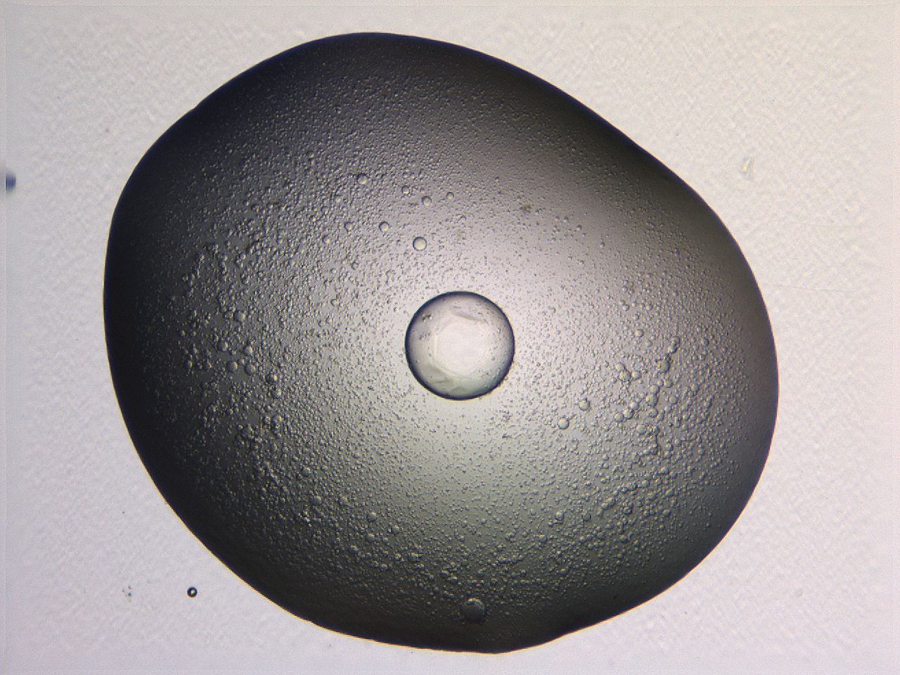 062k_G1_ImagerDefaults_5.jpg
