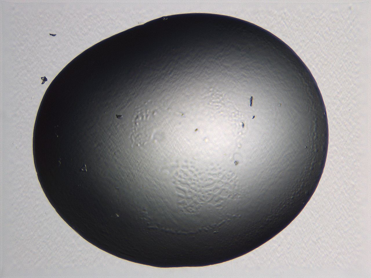 062k_G2_ImagerDefaults_0.jpg