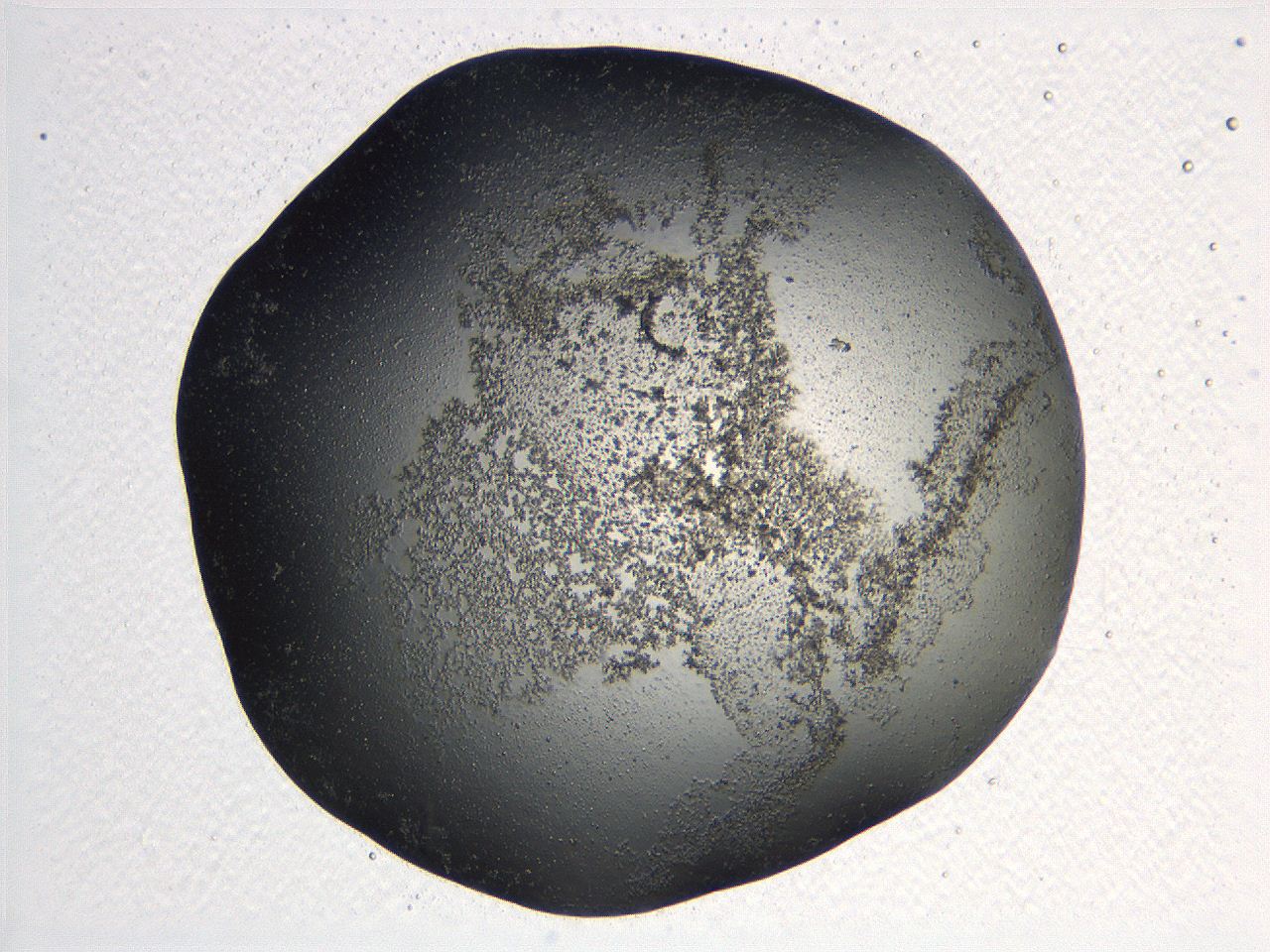 062k_G5_ImagerDefaults_3.jpg