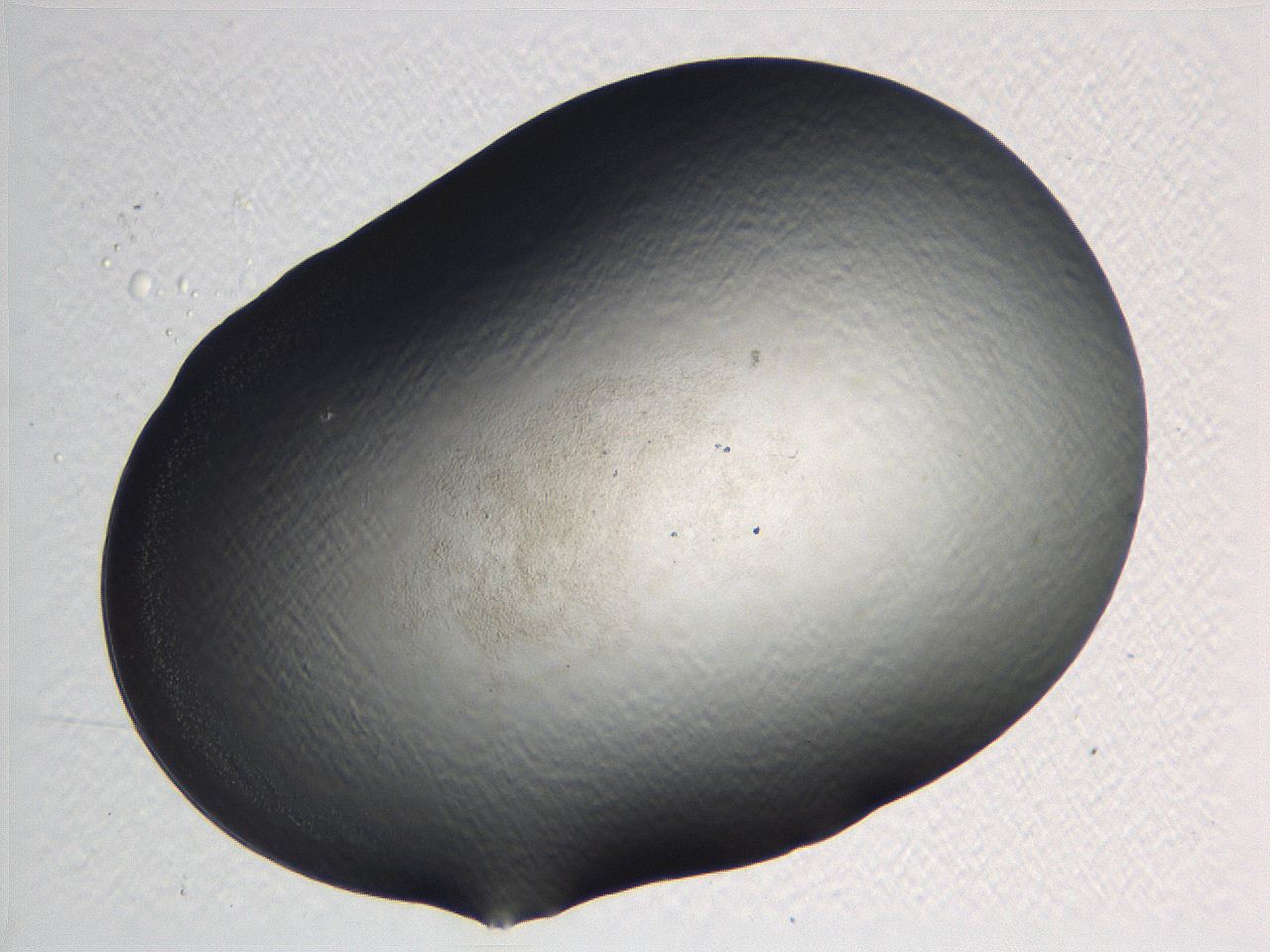 062k_G10_ImagerDefaults_0.jpg