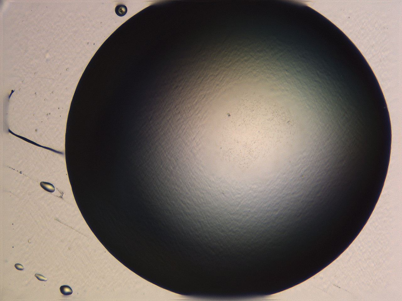 062k_H1_ImagerDefaults_0.jpg