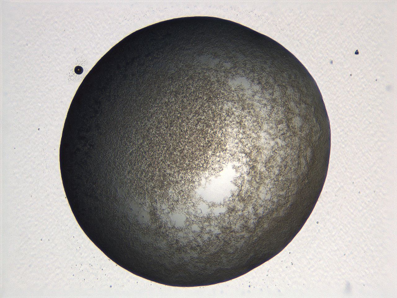 062k_H7_ImagerDefaults_3.jpg