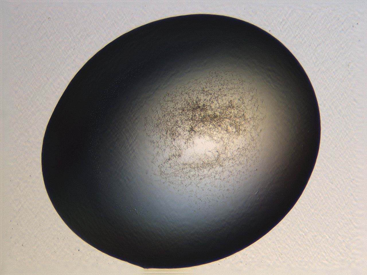 062k_H9_ImagerDefaults_3.jpg