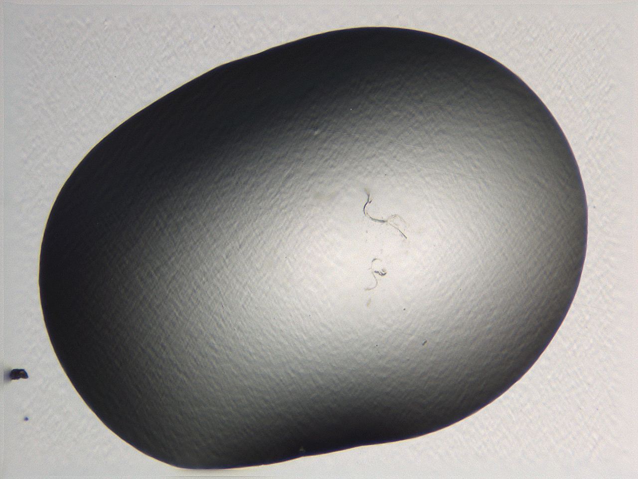 062k_H11_ImagerDefaults_0.jpg