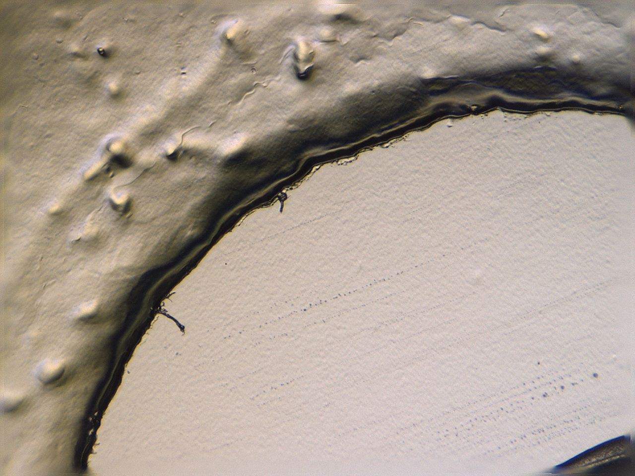062v_E6_ImagerDefaults_3.jpg