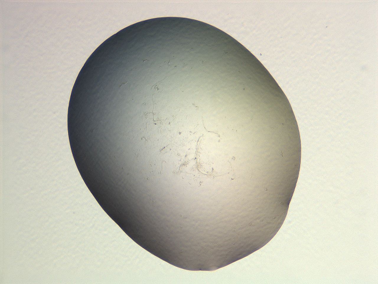 062v_A9_ImagerDefaults_0.jpg