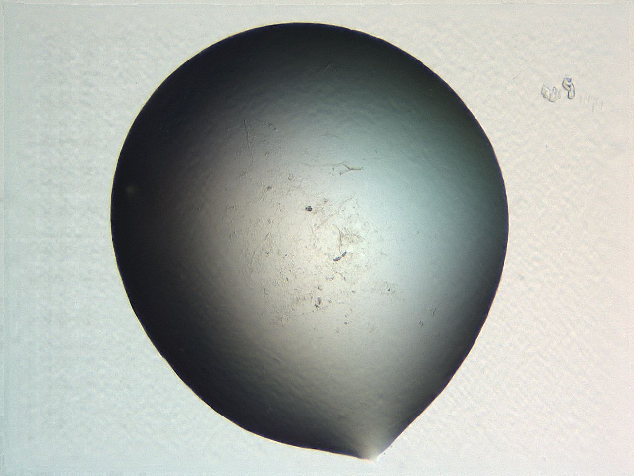 062v_A10_ImagerDefaults_0.jpg