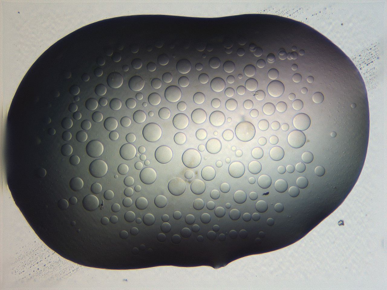 062v_C8_ImagerDefaults_0.jpg