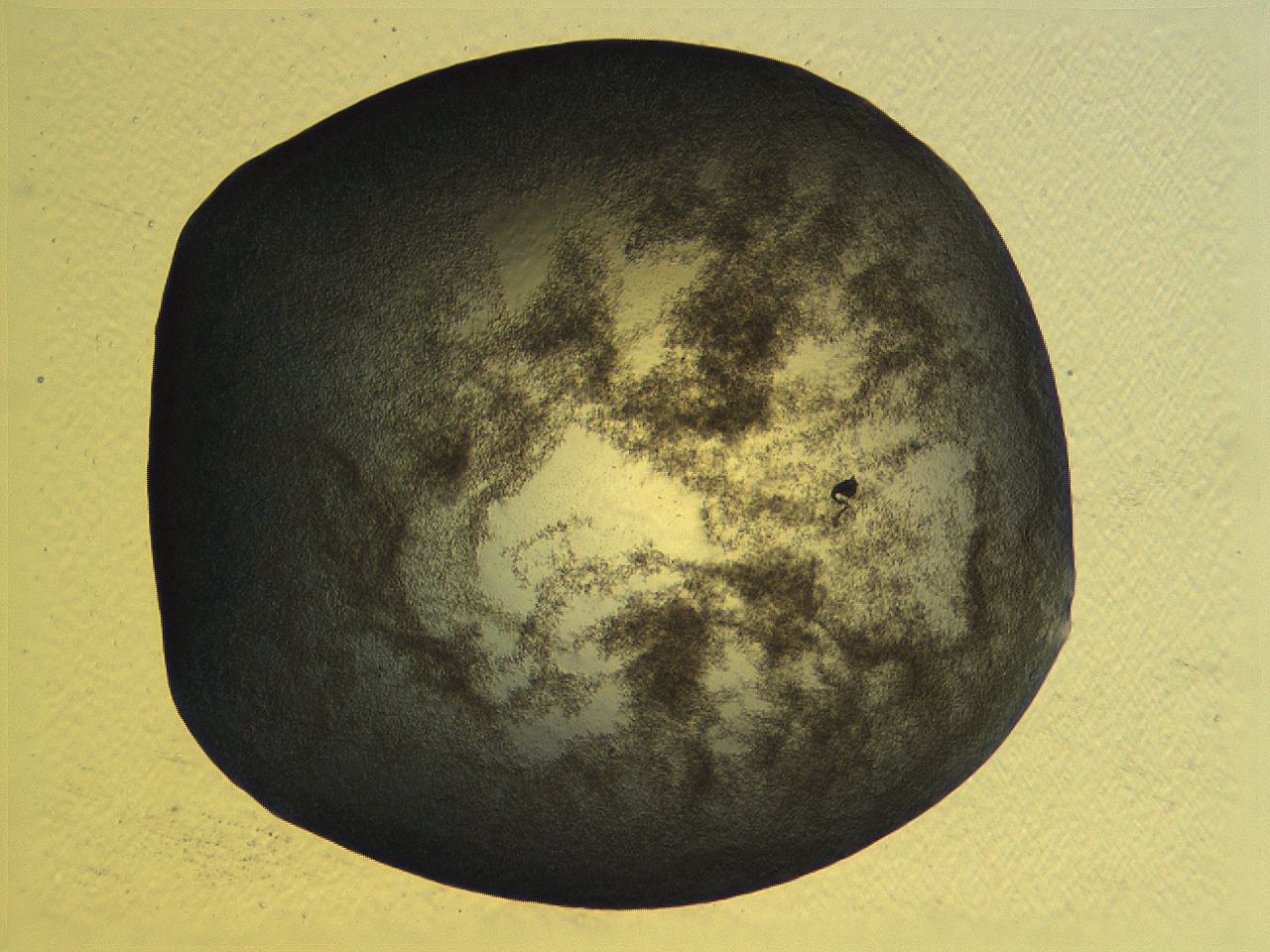 062v_E1_ImagerDefaults_3.jpg