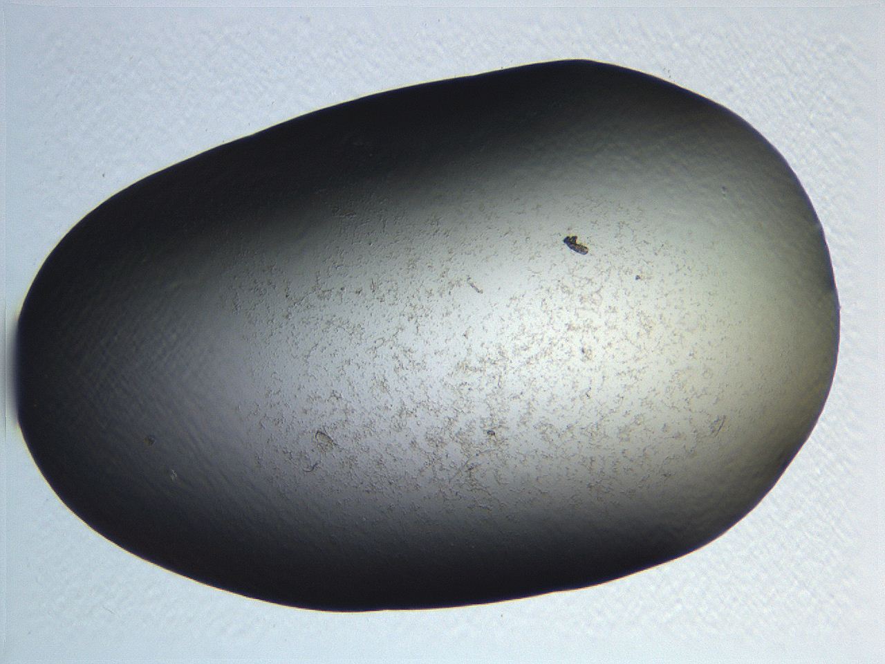 062v_B3_ImagerDefaults_0.jpg