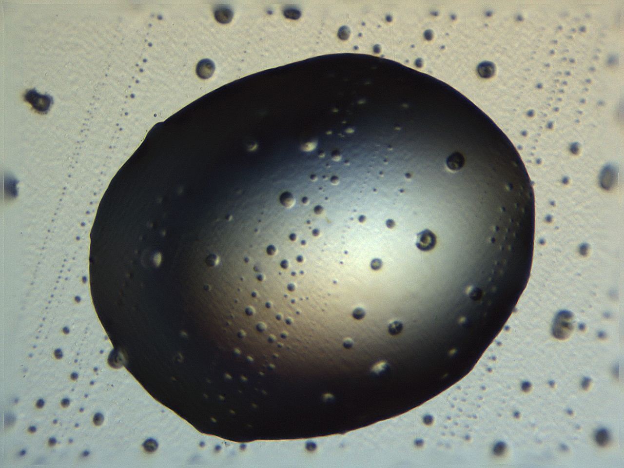 062v_C12_ImagerDefaults_0.jpg