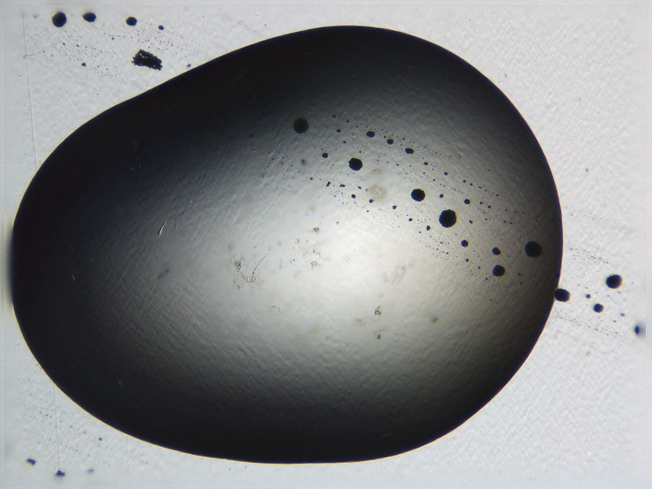 062v_F3_ImagerDefaults_0.jpg