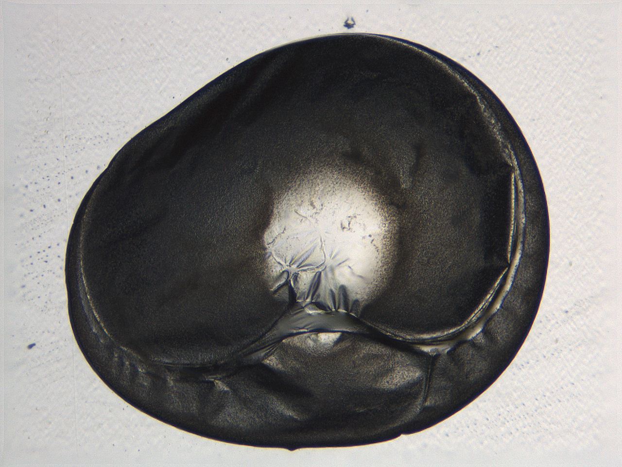 062v_F5_ImagerDefaults_3.jpg