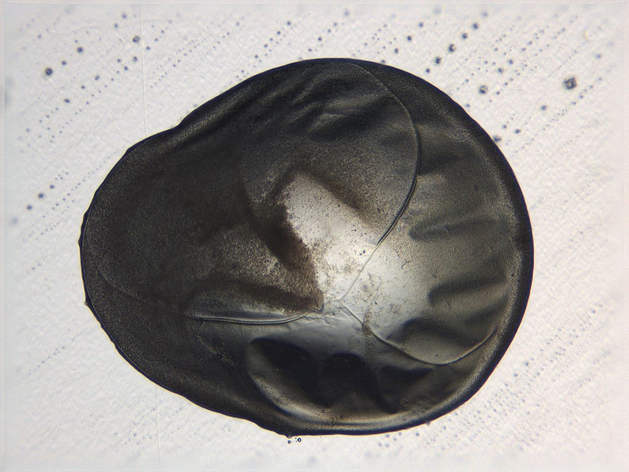 062v_G10_ImagerDefaults_3.jpg