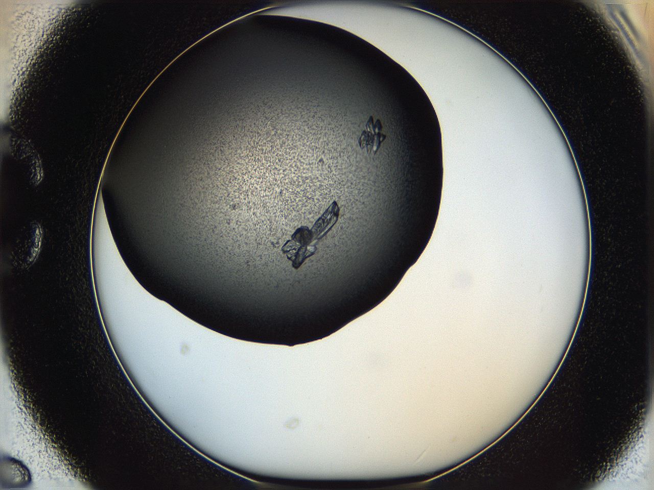 062w_C6_ImagerDefaults_9.jpg