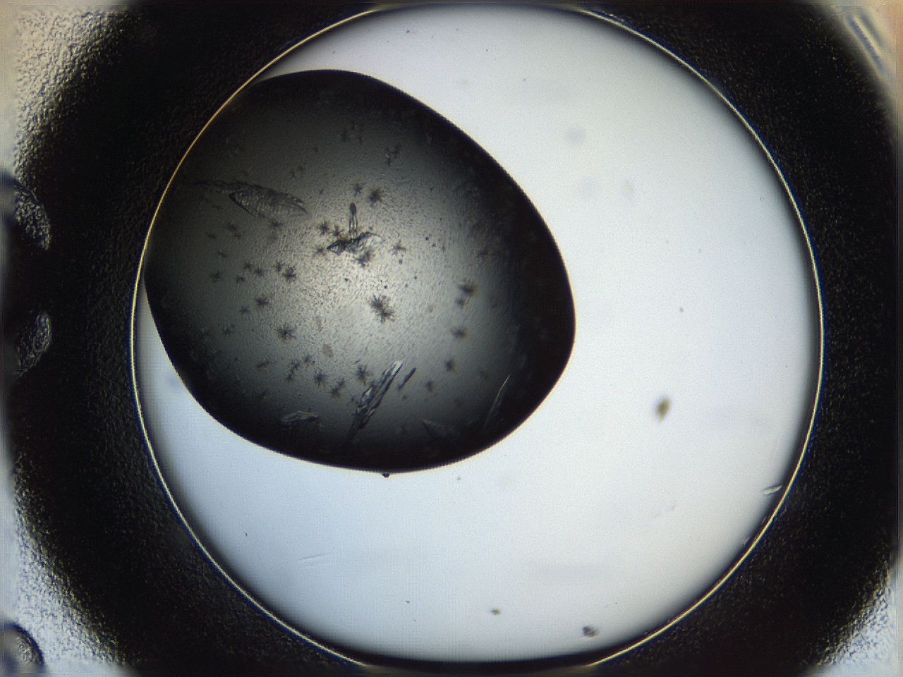 062w_C8_ImagerDefaults_9.jpg