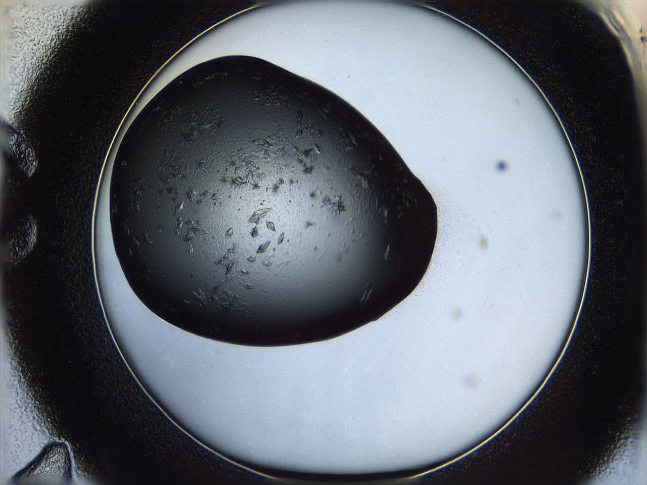 062w_C11_ImagerDefaults_7.jpg