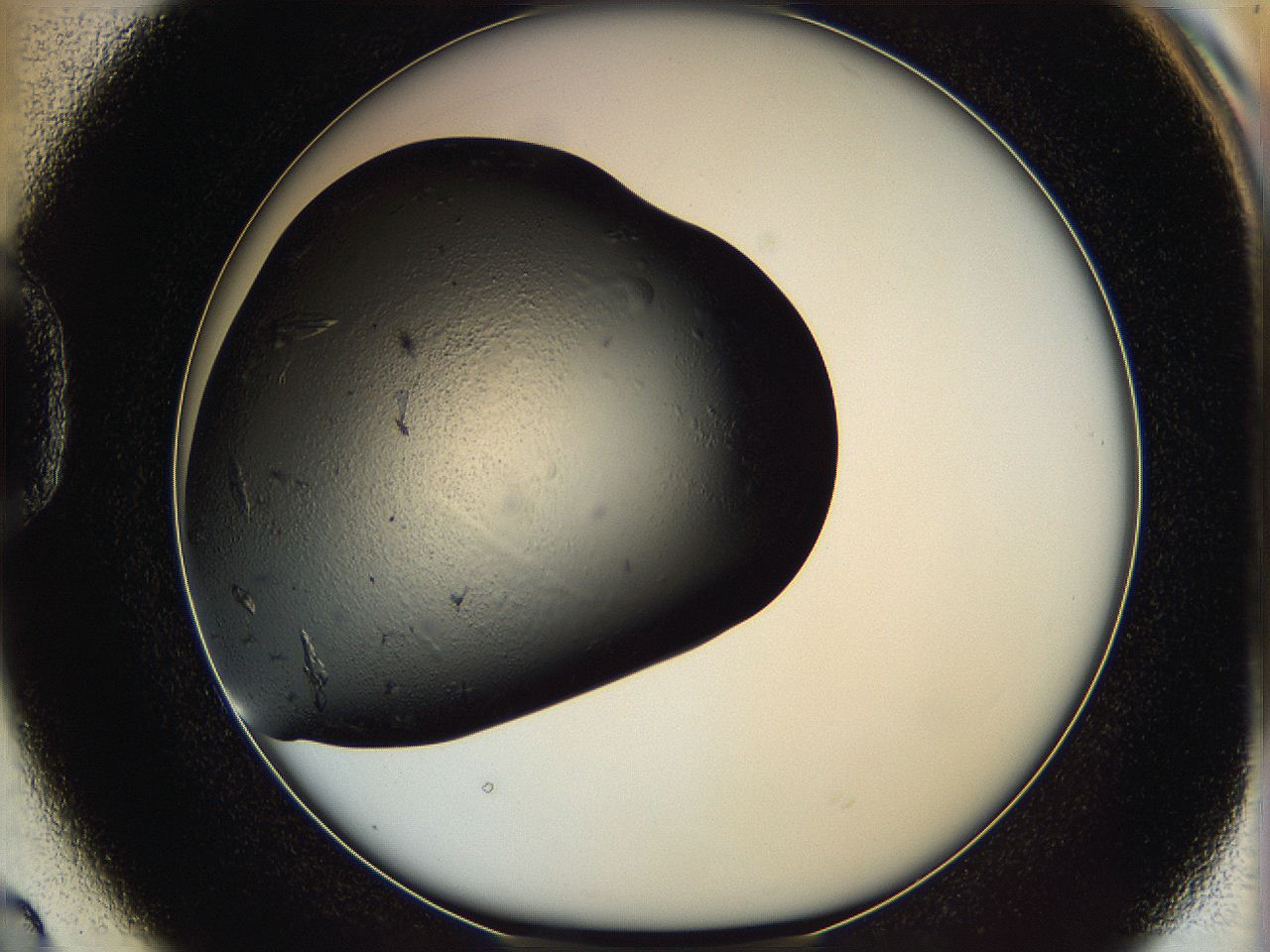 062w_D2_ImagerDefaults_7.jpg
