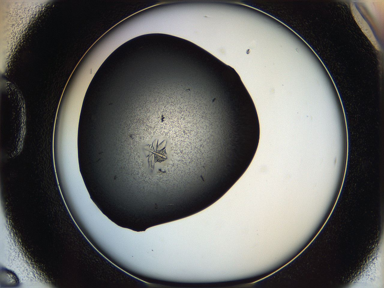 062w_D6_ImagerDefaults_9.jpg