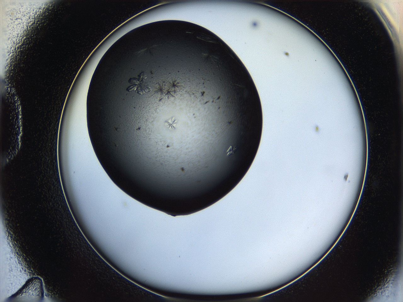 062w_D11_ImagerDefaults_9.jpg