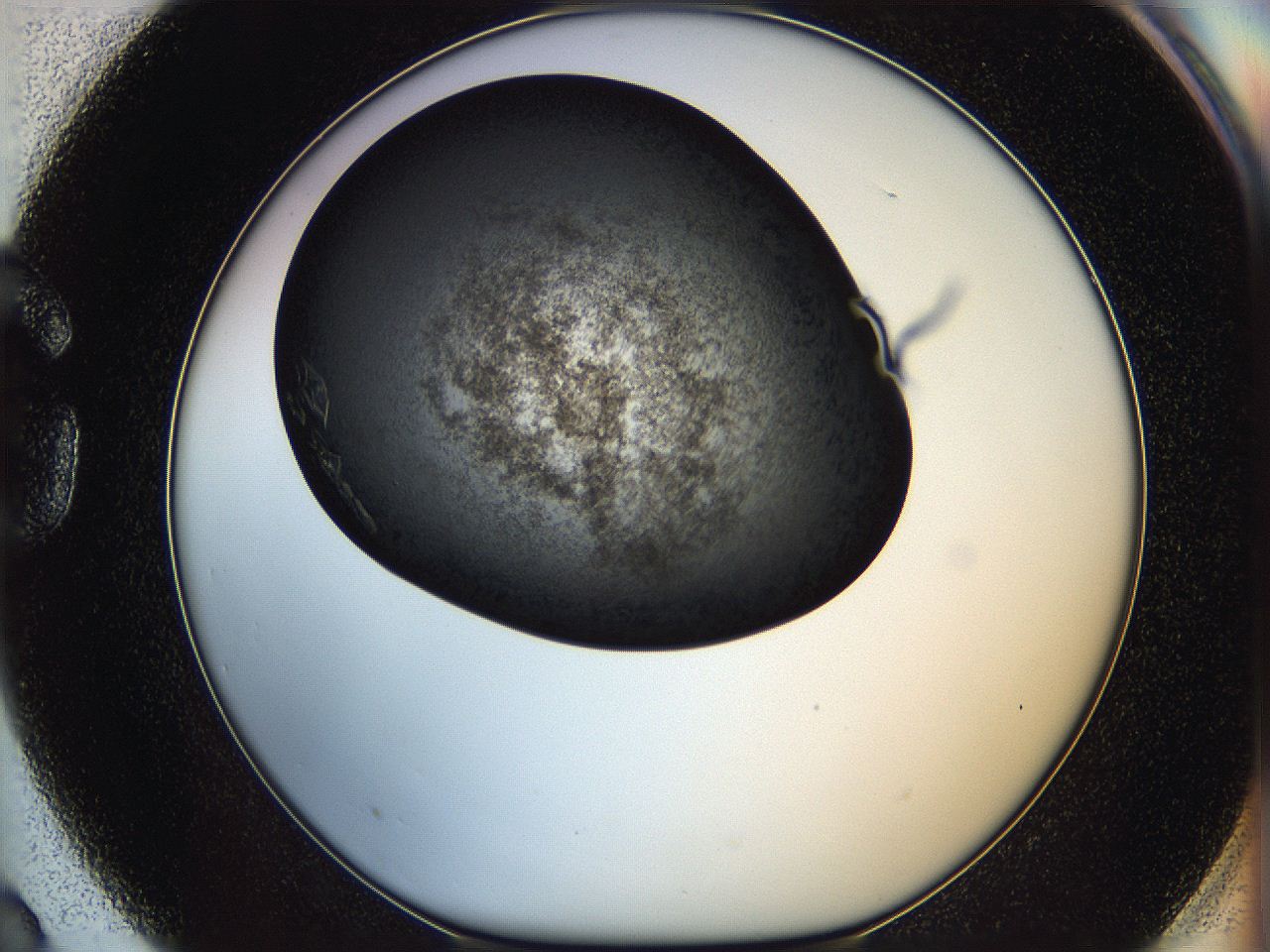 062w_G3_ImagerDefaults_8.jpg