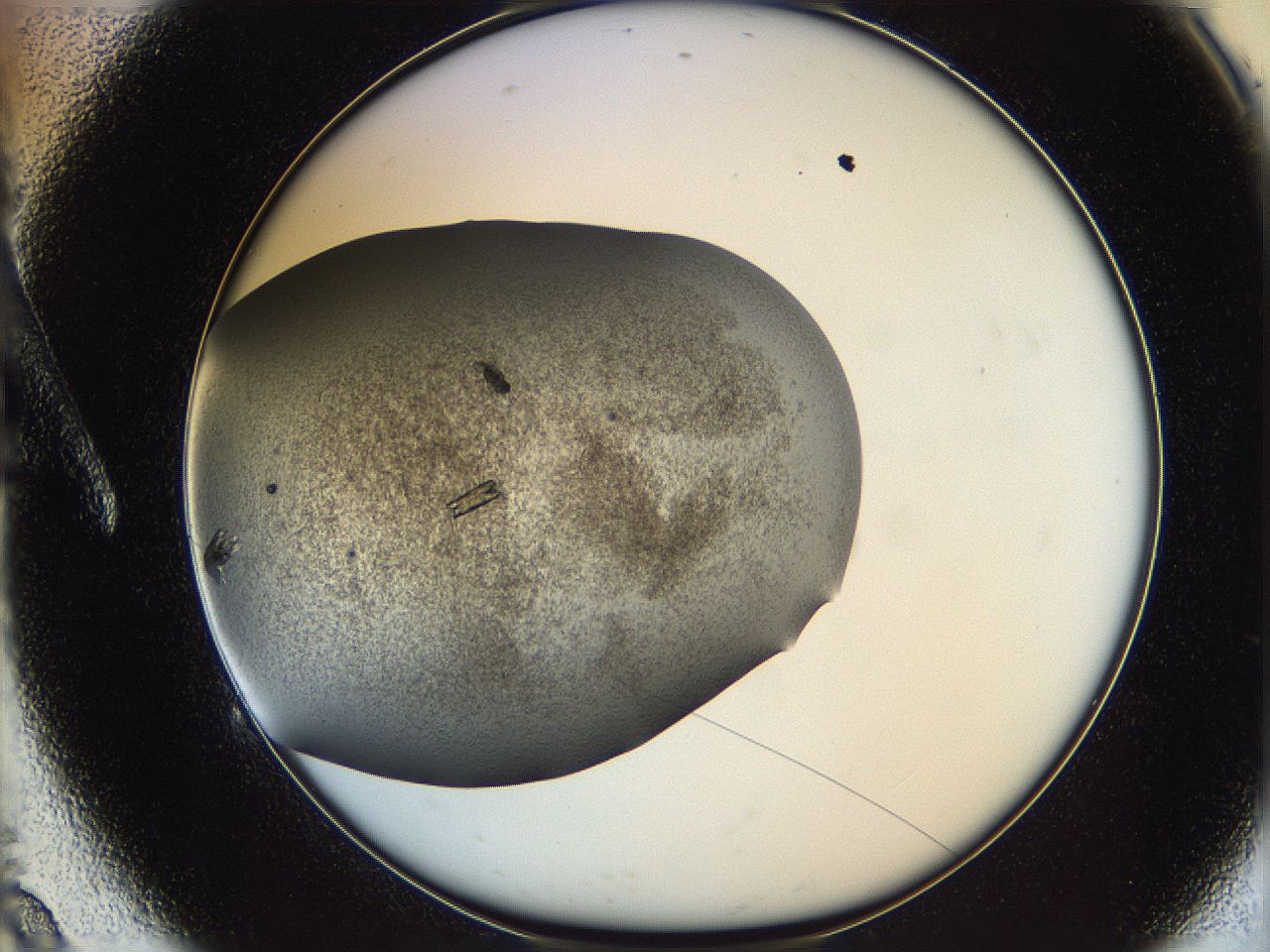 062w_A9_ImagerDefaults_8.jpg