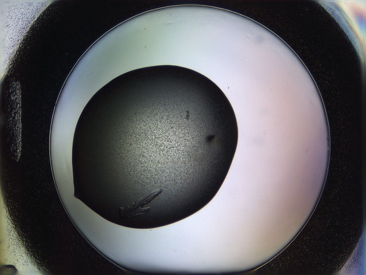 062w_H7_ImagerDefaults_9.jpg