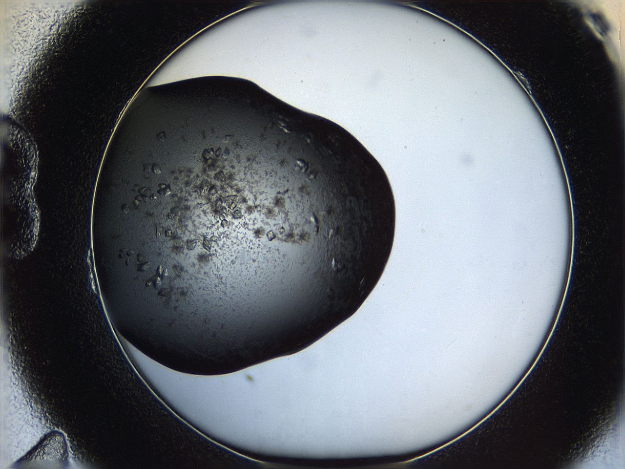 062w_B11_ImagerDefaults_7.jpg