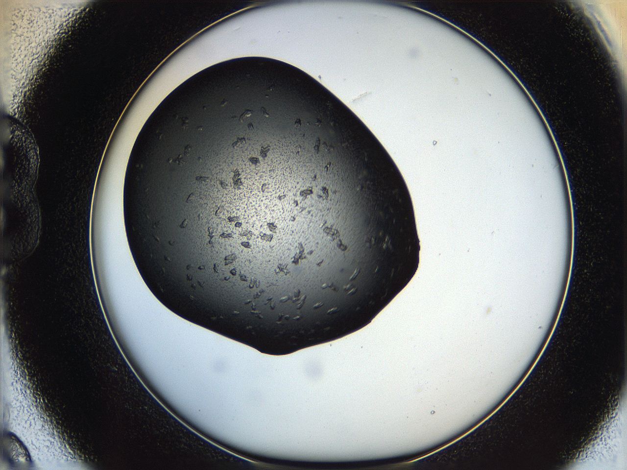 062w_B9_ImagerDefaults_7.jpg