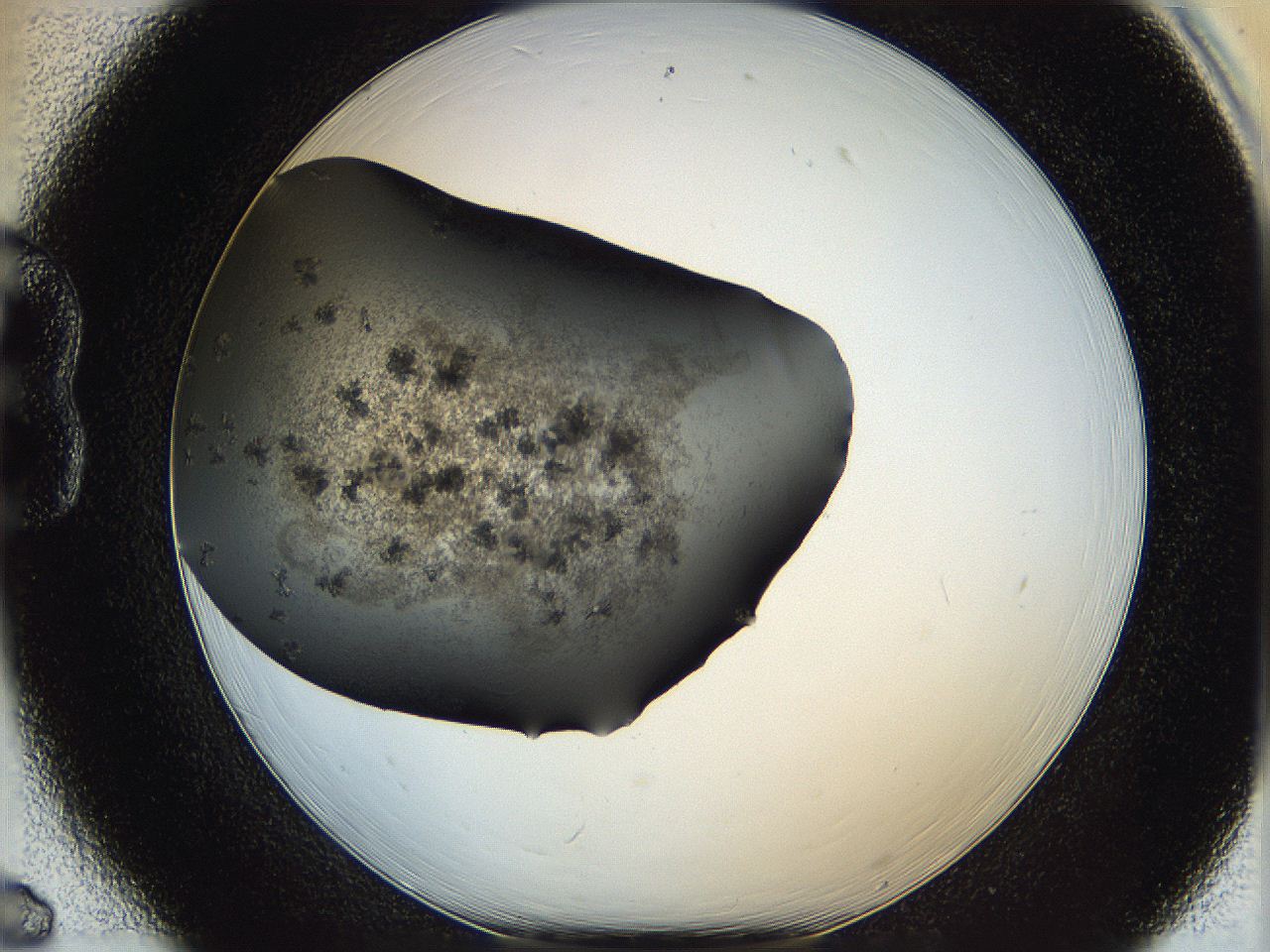 062w_B6_ImagerDefaults_6.jpg