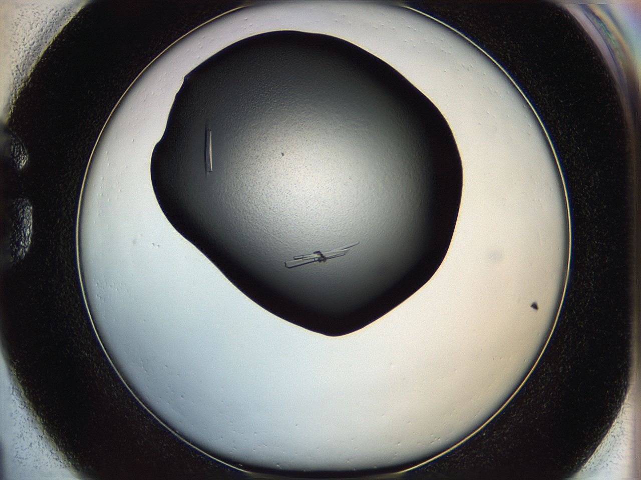 062x_G1_ImagerDefaults_9.jpg