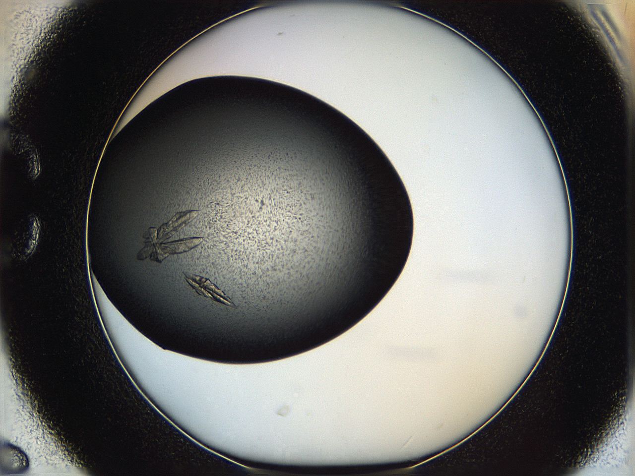 062y_C6_ImagerDefaults_9.jpg
