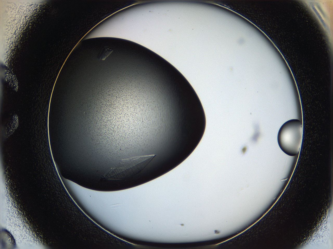062y_C8_ImagerDefaults_9.jpg