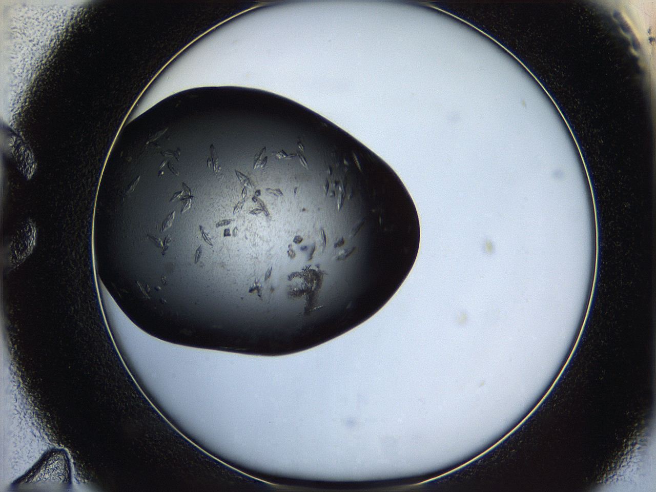 062y_C11_ImagerDefaults_8.jpg