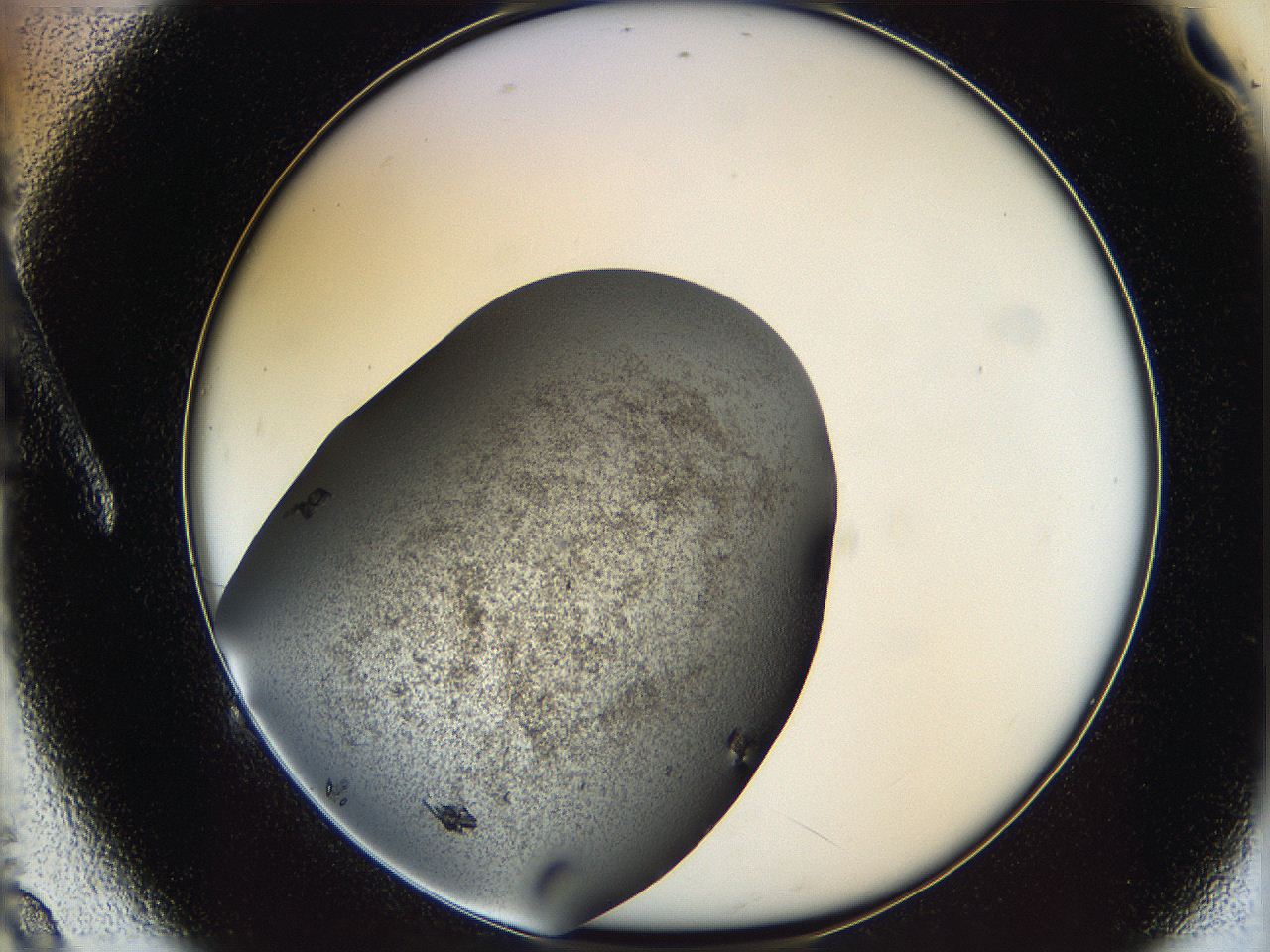 062y_A9_ImagerDefaults_8.jpg