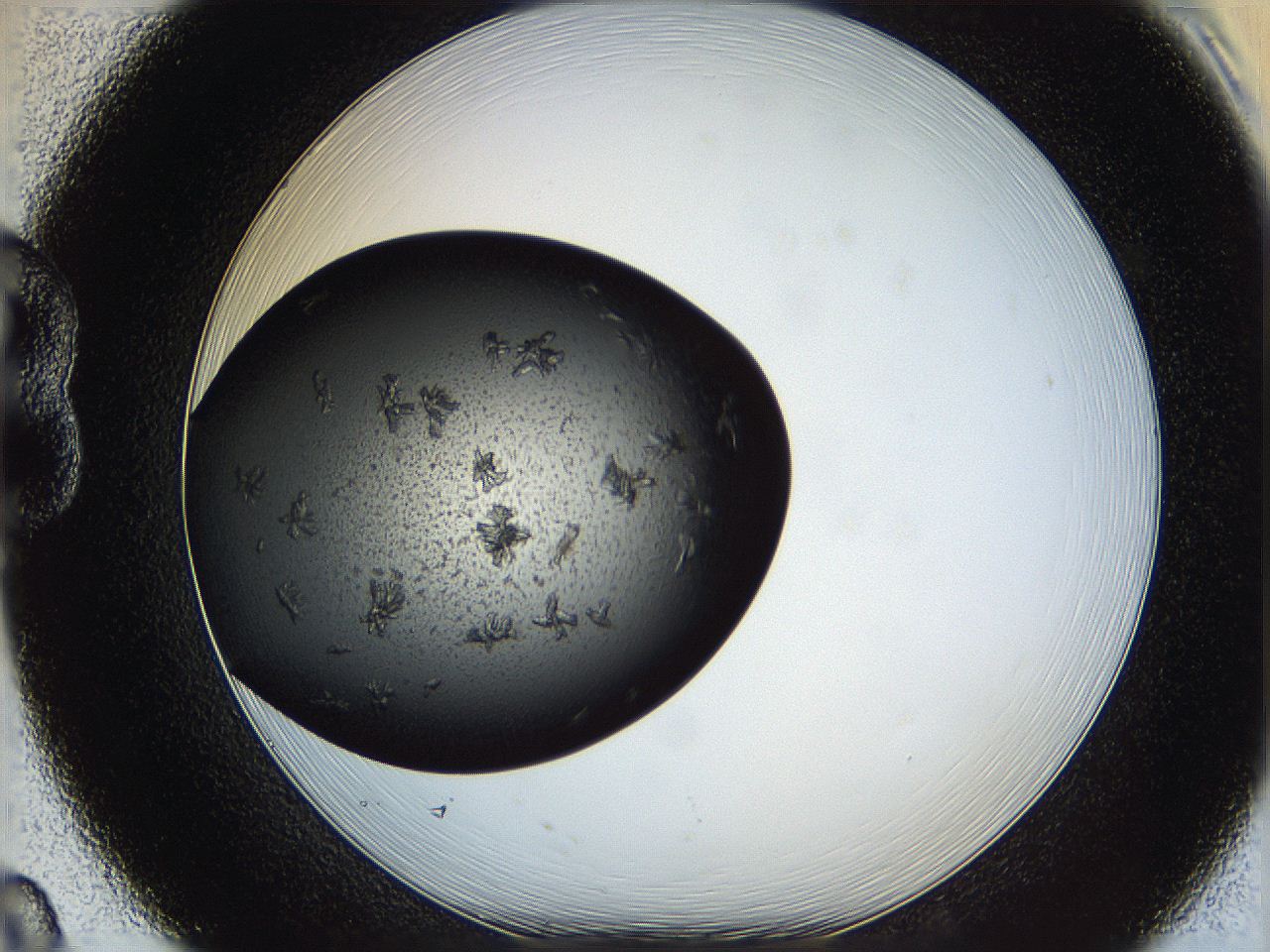 062y_B8_ImagerDefaults_8.jpg