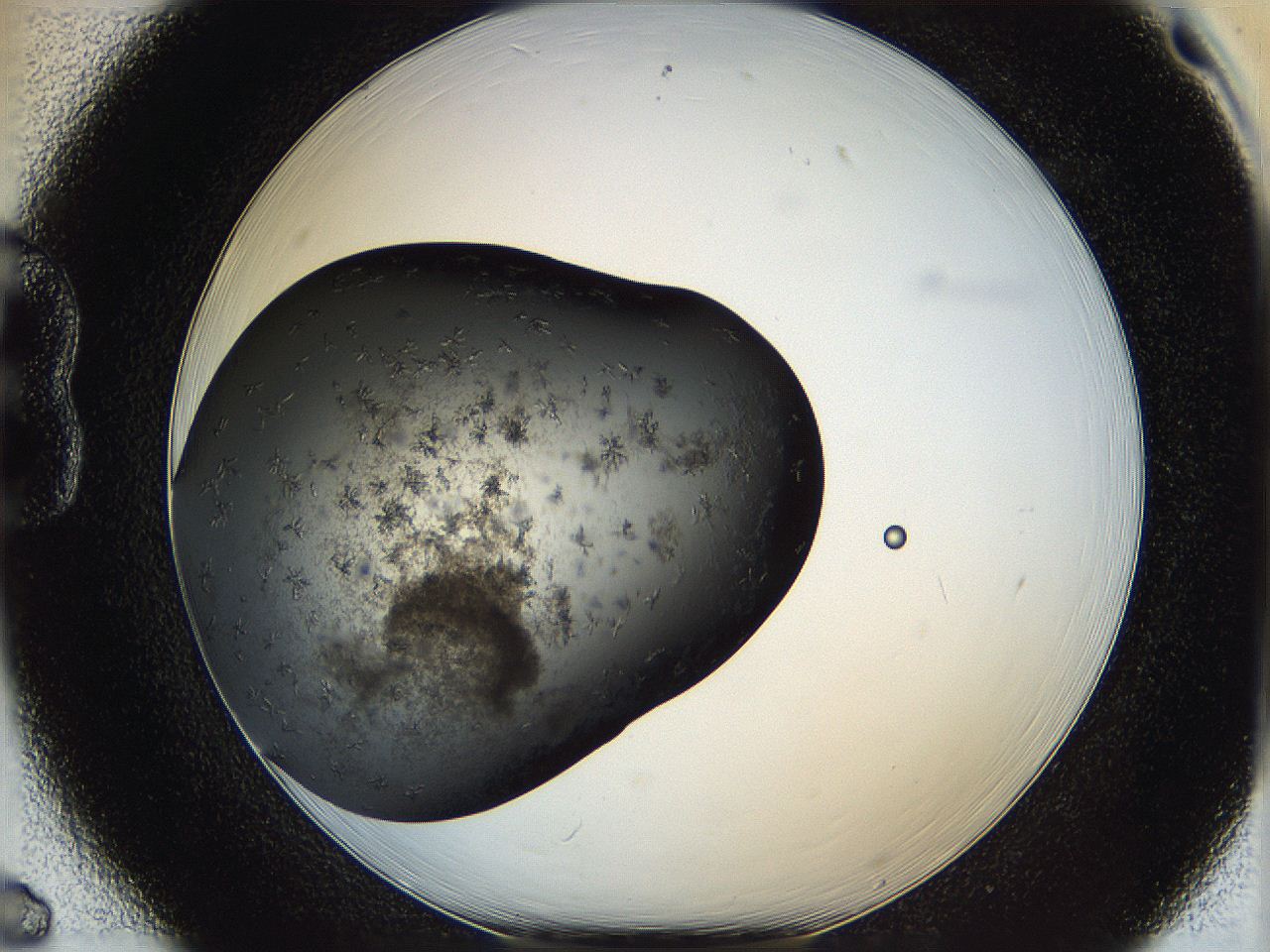 062y_B6_ImagerDefaults_6.jpg