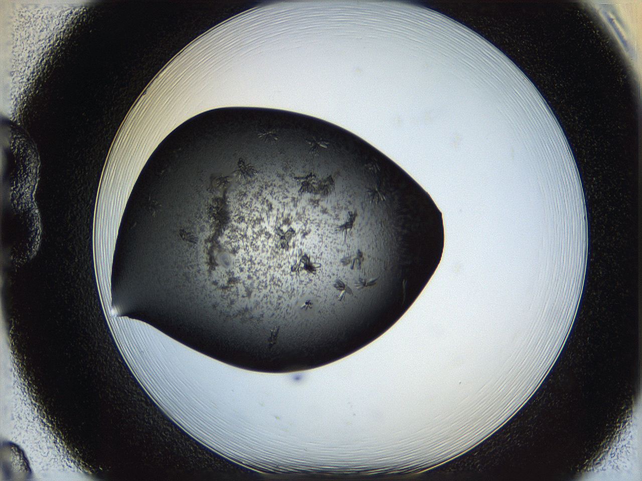 062z_B8_ImagerDefaults_7.jpg