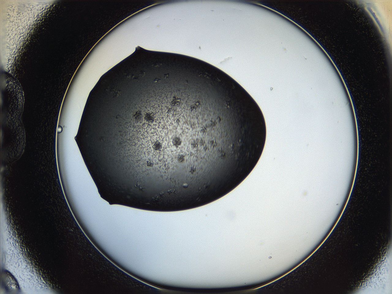 062z_B9_ImagerDefaults_6.jpg
