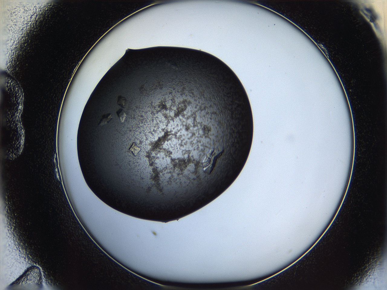 062z_B11_ImagerDefaults_9.jpg