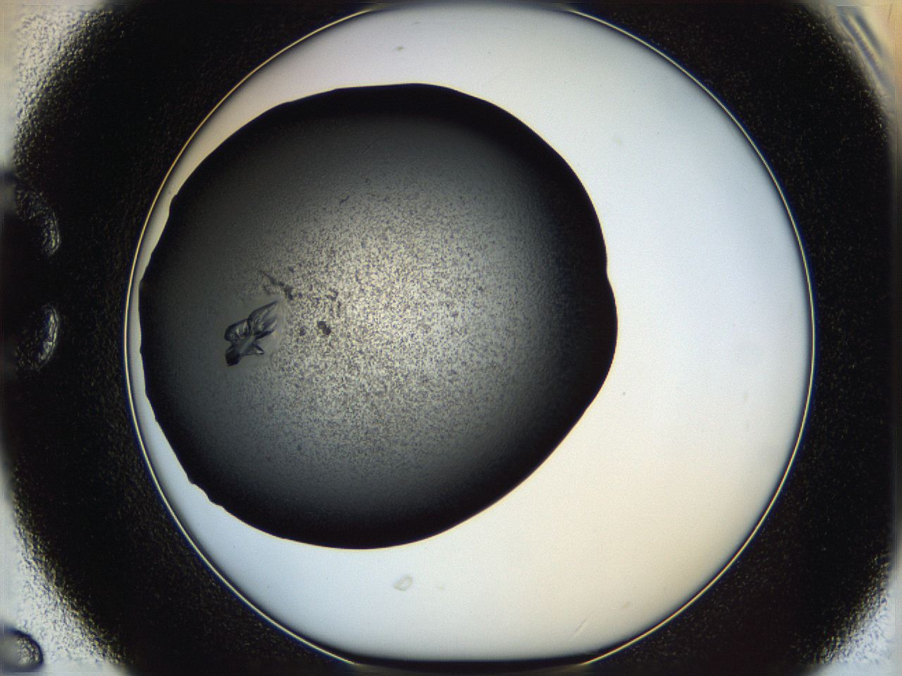 062z_C6_ImagerDefaults_9.jpg