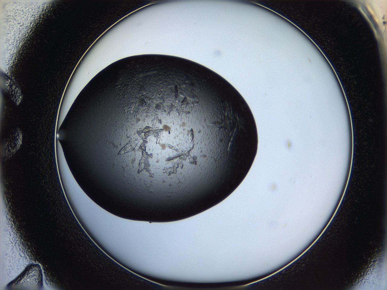 062z_C11_ImagerDefaults_8.jpg