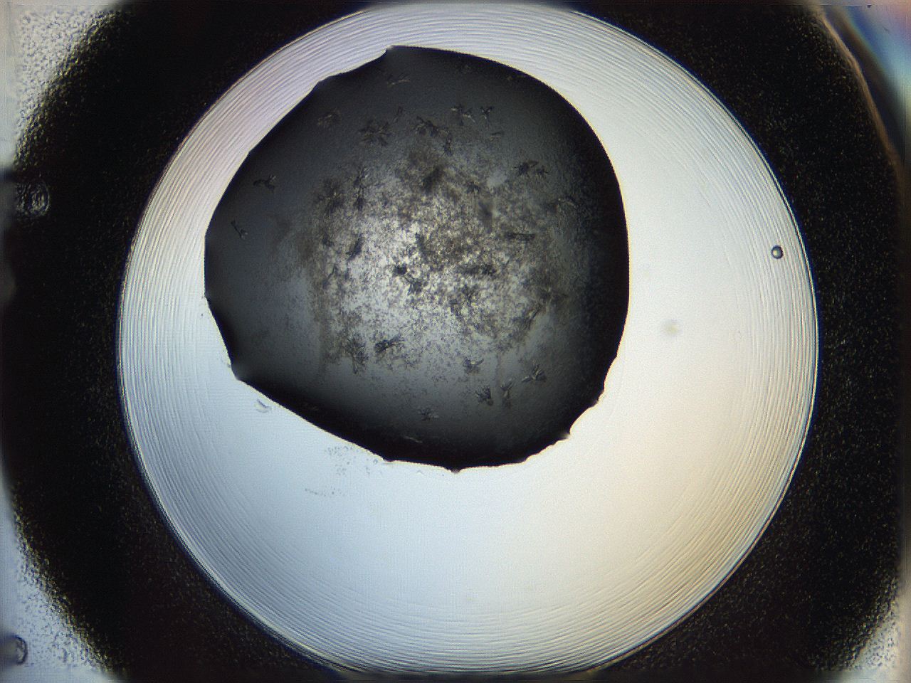 062z_F5_ImagerDefaults_6.jpg